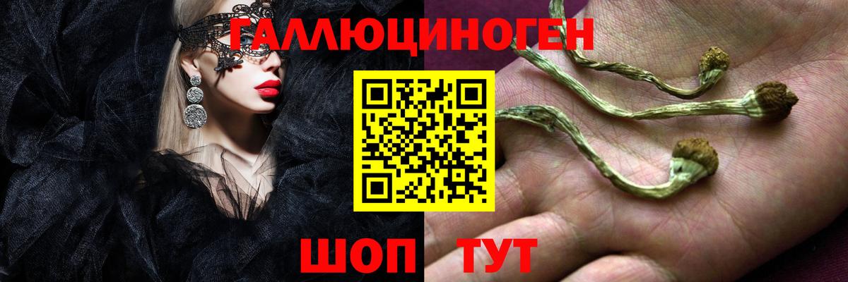 Галлюциногенные грибы Psilocybe  Вход с VPN  Усть-Илимск  Галлюциногенные грибы Cubensis 